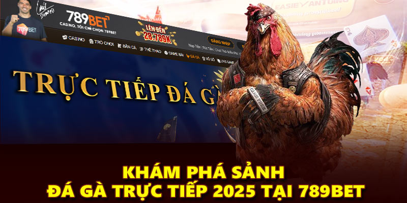Khám phá sảnh đá gà trực tiếp 2025 tại 789Bet