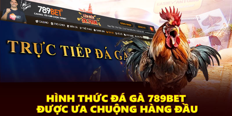 Hình thức đá gà 789Bet được ưa chuộng hàng đầu